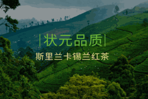 瀾記老香港茶點