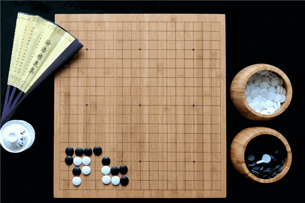 少年縱橫圍棋