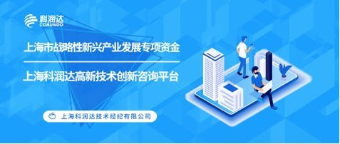 上海市戰(zhàn)略性新興產(chǎn)業(yè)發(fā)展專項(xiàng)資金申報(bào)要點(diǎn)與技術(shù)咨詢指引